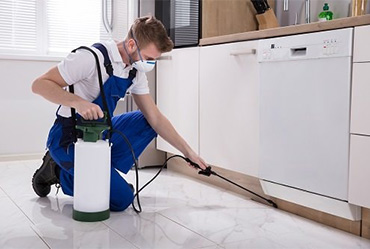 Pest Control